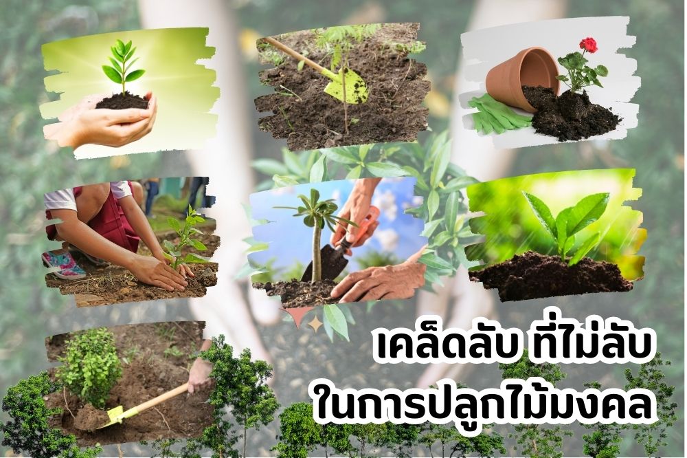 เคล็ดลับง่ายๆ ในการป
