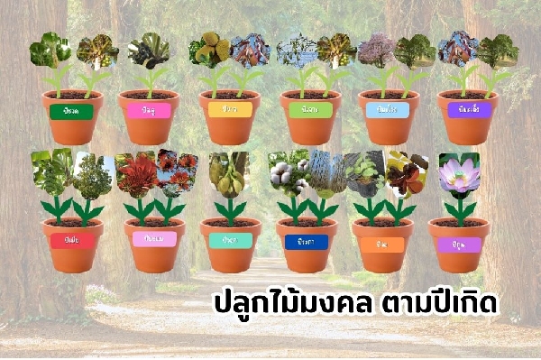 ไม้มงคลเสริมบารมี ตามปีเกิด